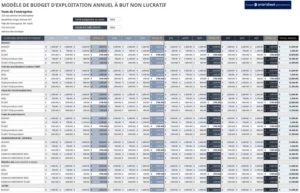 budget-annuel-organisations-but-non-lucratif