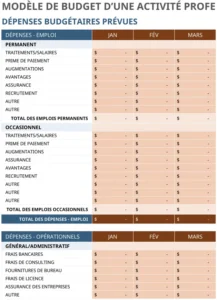 budget-professionnel-entreprise-model