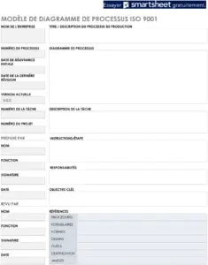 carte-des-processus-iso-9001-model-word