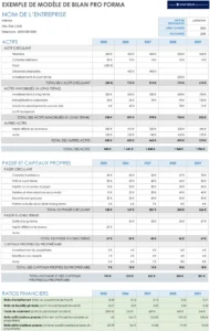 exemple-de-bilan-financier-pour-gestion-optimale