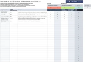 matrice-excel-selection-projets-cout-benefice