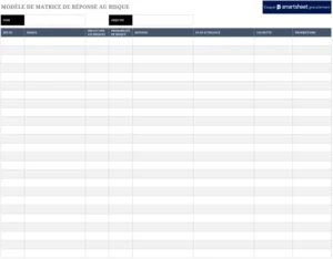 matrice-reponse-risques-excel-structure-informatique