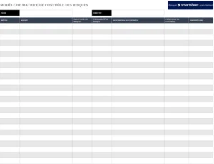 matrix-controle-risques-excel-template
