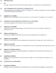 modele-analyse-besoins-projet-structure-document