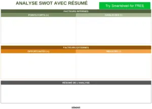 modele-analyse-swot-resume-executif-organisation