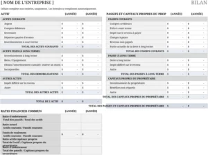 modele-bilan-financier-planification-budgetaire