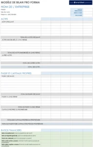 modele-bilan-financier-telechargeable