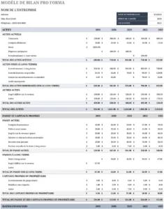 modele-bilan-simple-gestion-financiere