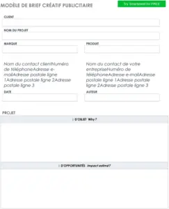modele-brief-creatif-projet-publicitaire
