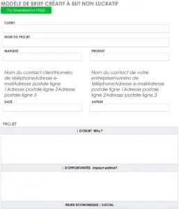 modele-brief-optimise-projet-creative