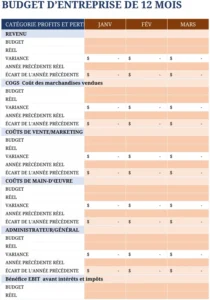 modele-budget-entreprise-12-mois