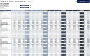 modele-budget-operationnel-gestion-financiere-optimale
