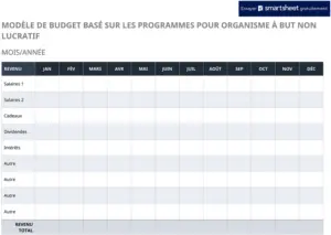 modele-budget-programmes-buts-non-lucratifs
