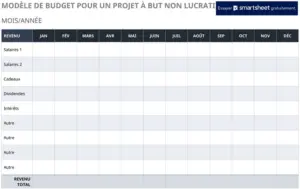 modele-budget-projets-a-but-non-lucratif
