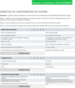 modele-cartographie-culturelle-word
