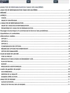 modele-cas-affaires-gestion-projet