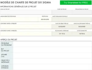 modele-charte-projet-six-sigma