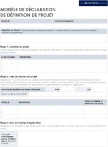 modele-de-declaration-de-projet-structure-leger