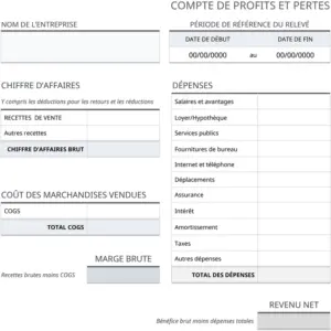 modele-declaration-profits-pertes
