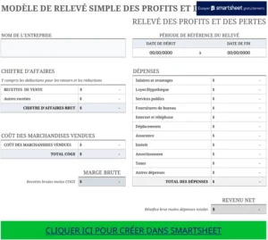 modele-declaration-profits-pertes-gestion-financiere