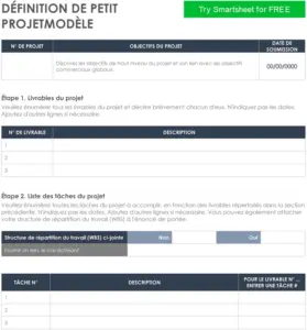 modele-definition-de-projet-structures-organisationnelles