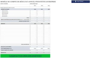 modele-etat-financier-annuel-petite-entreprise
