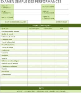 modele-evaluation-des-performances-professionnelles