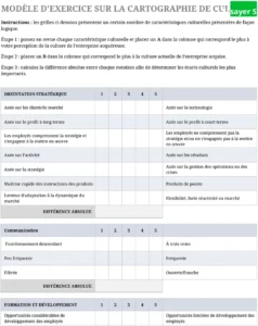 modele-excel-cartographie-culturelle-organisation-personnelle