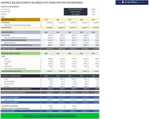 modele-excel-gestion-petite-entreprise-bilan-compte-de-resultats