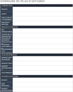 modele-excel-planification-de-projet-resume-executif