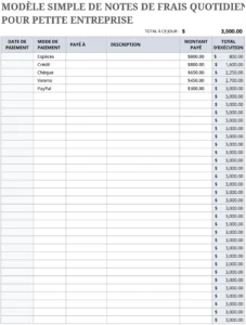 modele-excel-rapport-de-depenses-quotiiennes-petites-entreprises