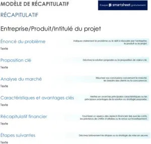 modele-executive-summary-document-rapports-projets