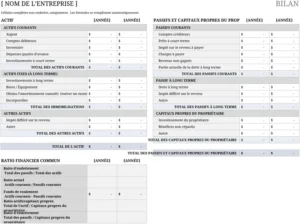 modele-feuille-bilan-organisation-financiere