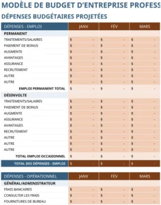 modele-gestion-budget-professionnel