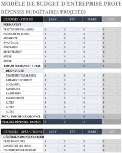modele-gestion-budget-professionnel