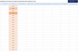 modele-gestion-comptes-cles-action-plan