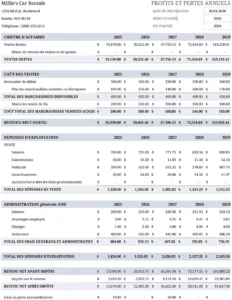 modele-gestion-profits-pertes-annuels