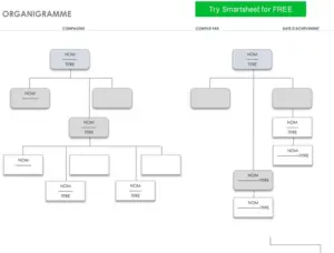 modele-organigramme-entreprise-gestion-projet