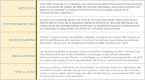 modele-pdf-gestion-de-projets-rapports-processus
