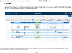 modele-plan-affaires-complet