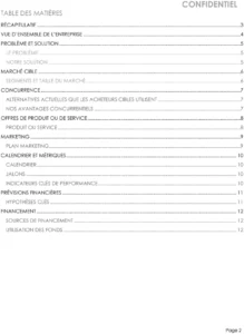 modele-plan-affaires-entreprise-structuration
