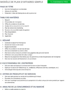modele-plan-affaires-guide-complet