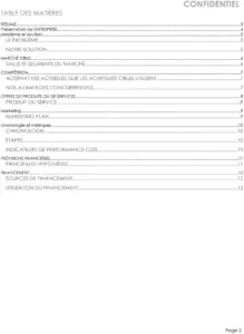 modele-plan-affaires-simple-organisations