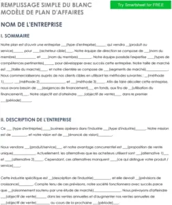 modele-plan-affaires-structure-organisee