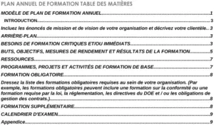 modele-plan-annuel-formation-structure