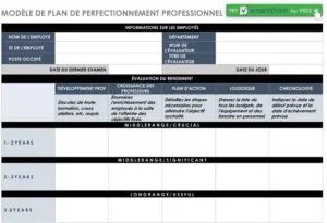 modele-plan-de-developpement-professionnel