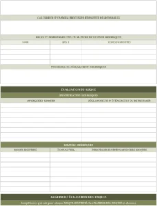 modele-plan-gestion-risques-projet