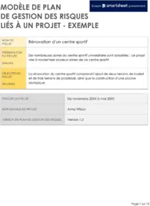 modele-plan-gestion-risques-projet-word