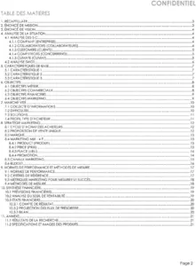 modele-plan-marketing-annuel-structure-optimization