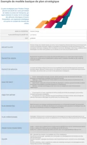 modele-plan-strategique-complet